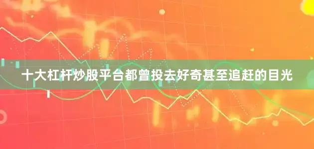 十大杠杆炒股平台都曾投去好奇甚至追赶的目光