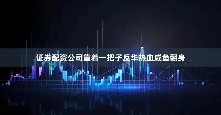 证券配资公司靠着一把子反华热血咸鱼翻身