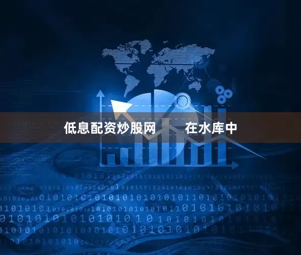 低息配资炒股网        在水库中