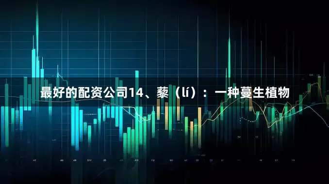 最好的配资公司14、藜（lí）：一种蔓生植物